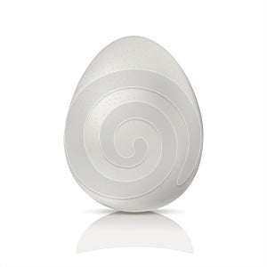 Realistic white chicken egg.